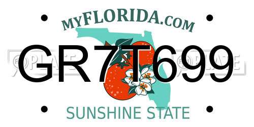 GR7T699 Florida License Plate