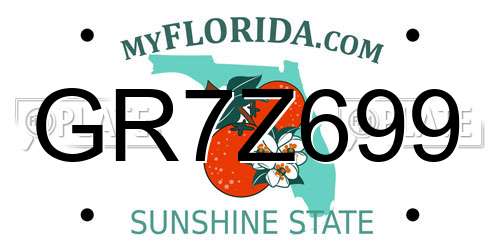 GR7Z699 Florida License Plate