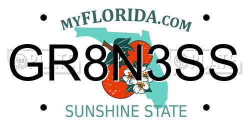 GR8N3SS Florida License Plate