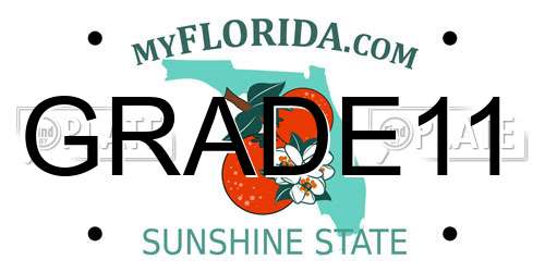 GRADE11 Florida License Plate