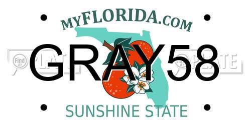 GRAY58 Florida License Plate