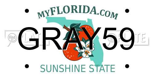 GRAY59 Florida License Plate