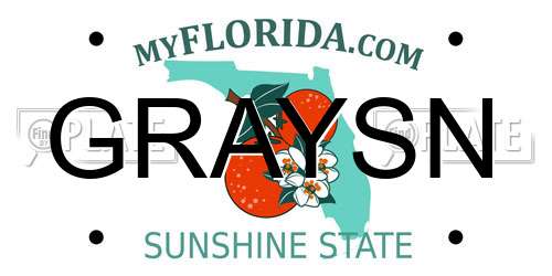 GRAYSN Florida License Plate