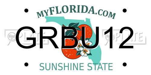 GRBU12 Florida License Plate