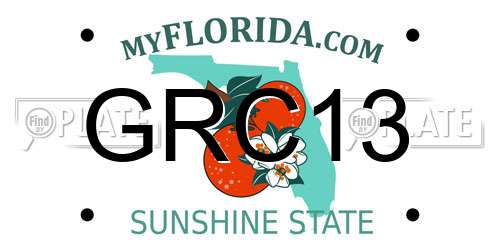 GRC13 Florida License Plate