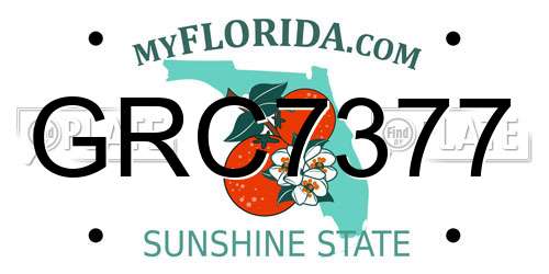 GRC7377 Florida License Plate