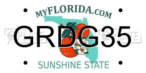 GRDG35 Florida License Plate