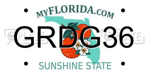 GRDG36 Florida License Plate