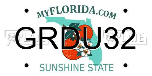 GRDU32 Florida License Plate