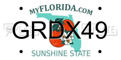 GRDX49 Florida License Plate