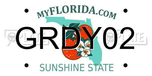 GRDY02 Florida License Plate