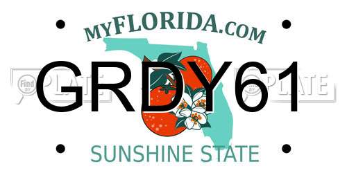 GRDY61 Florida License Plate