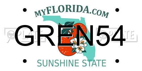GREN54 Florida License Plate
