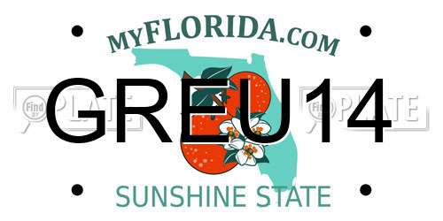 GREU14 Florida License Plate