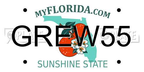 GREW55 Florida License Plate