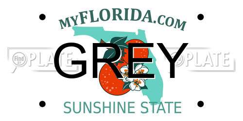 GREY Florida License Plate