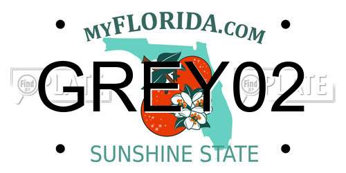 GREY02 Florida License Plate