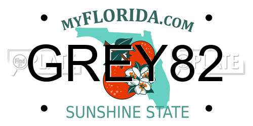 GREY82 Florida License Plate