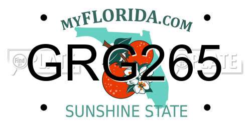 GRG265 Florida License Plate