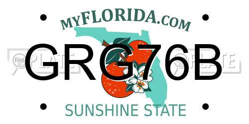 GRG76B Florida License Plate