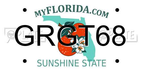 GRGT68 Florida License Plate