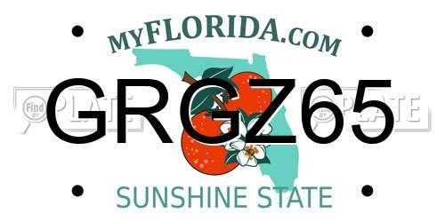 GRGZ65 Florida License Plate