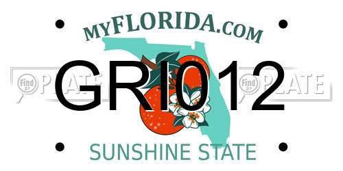 GRI012 Florida License Plate