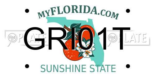 GRI01T Florida License Plate