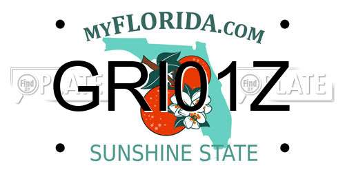 GRI01Z Florida License Plate