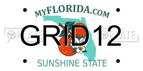 GRID12 Florida License Plate
