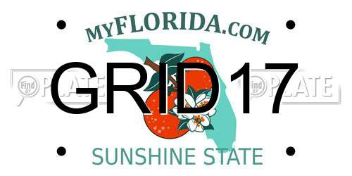 GRID17 Florida License Plate