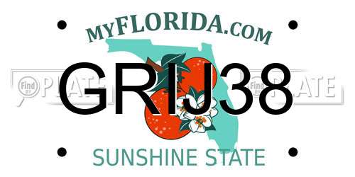 GRIJ38 Florida License Plate
