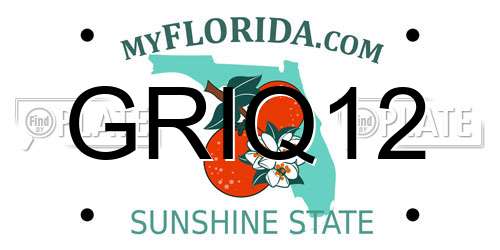 GRIQ12 Florida License Plate