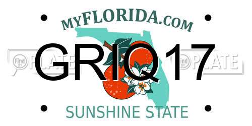 GRIQ17 Florida License Plate