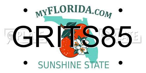 GRITS85 Florida License Plate