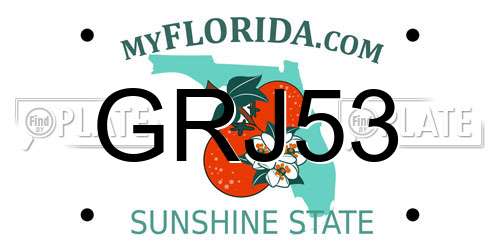 GRJ53 Florida License Plate