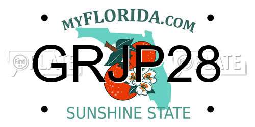 GRJP28 Florida License Plate