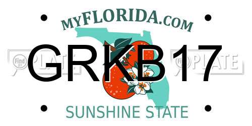 GRKB17 Florida License Plate