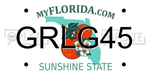 GRLG45 Florida License Plate