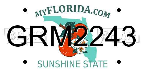 GRM2243 Florida License Plate