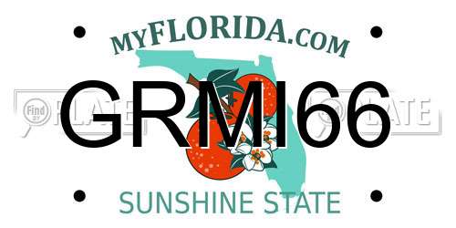 GRMI66 Florida License Plate