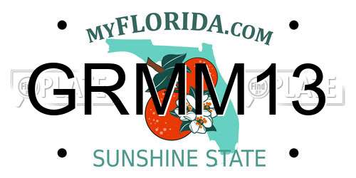 GRMM13 Florida License Plate