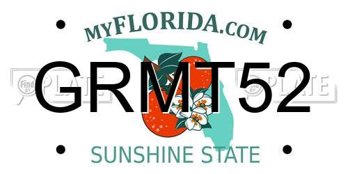 GRMT52 Florida License Plate