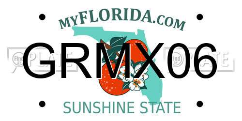 GRMX06 Florida License Plate