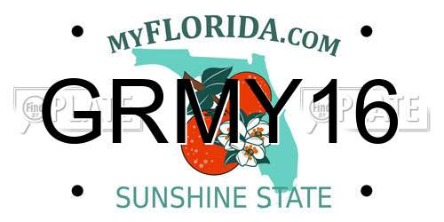 GRMY16 Florida License Plate