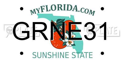 GRNE31 Florida License Plate