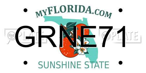 GRNE71 Florida License Plate