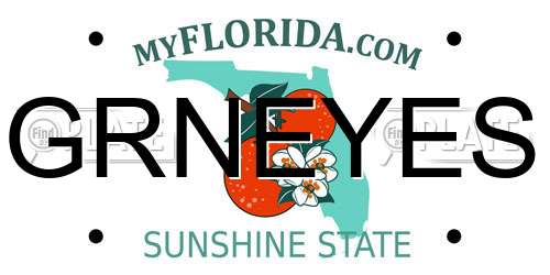 GRNEYES Florida License Plate