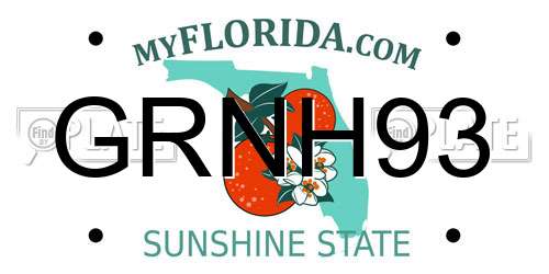 GRNH93 Florida License Plate