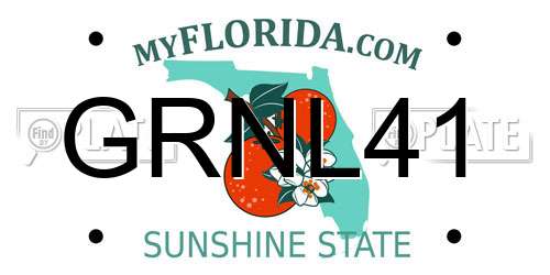 GRNL41 Florida License Plate